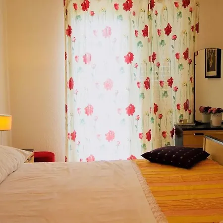 Apartment Zorka 719